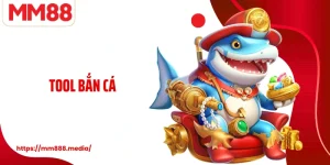 Tool Nhìn Xuyên Bài Lời Khuyên Cần Biết Từ Các Chuyên Gia MM88